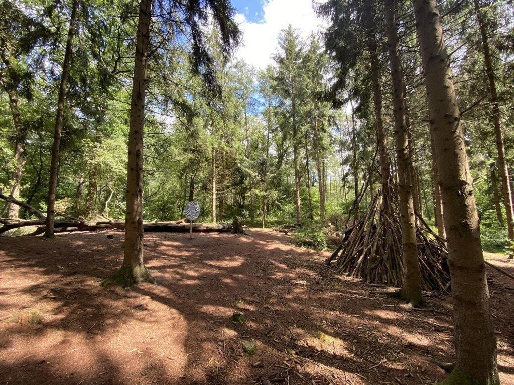 Ferienhaus Seeblick Am Harkebruegger See Mit Sauna Und Kamin Barssel  Dış mekan fotoğraf